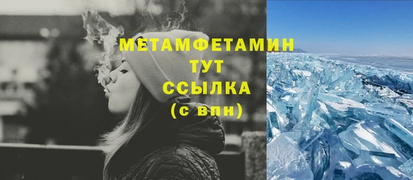 гидра Богданович