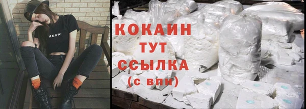 гидра Богданович