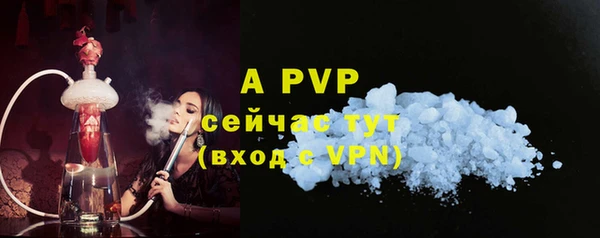гидра Богданович