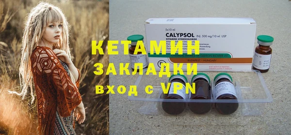 гидра Богданович