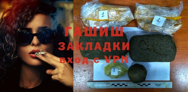 гидра Богданович