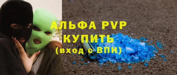 гидра Богданович
