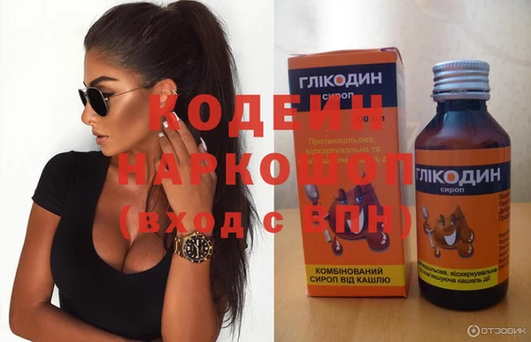 ешки Снежногорск