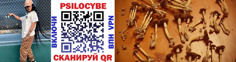 Галлюциногенные грибы Cubensis  закладка  Обь 