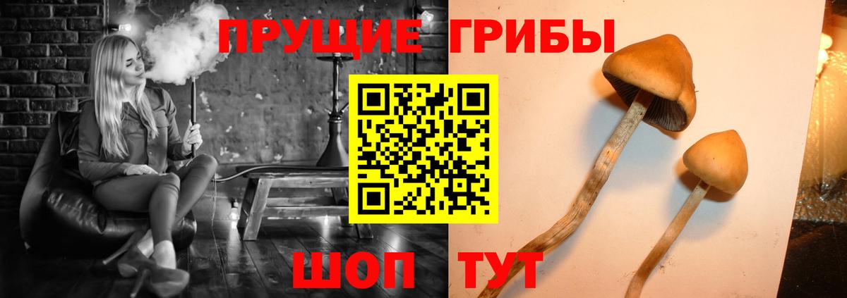 Псилоцибиновые грибы Magic Shrooms  что такое наркотик  Обь  Вход с VPN 